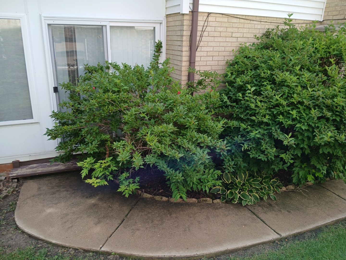 Andrew L. - Arlington Heights, IL by A&N