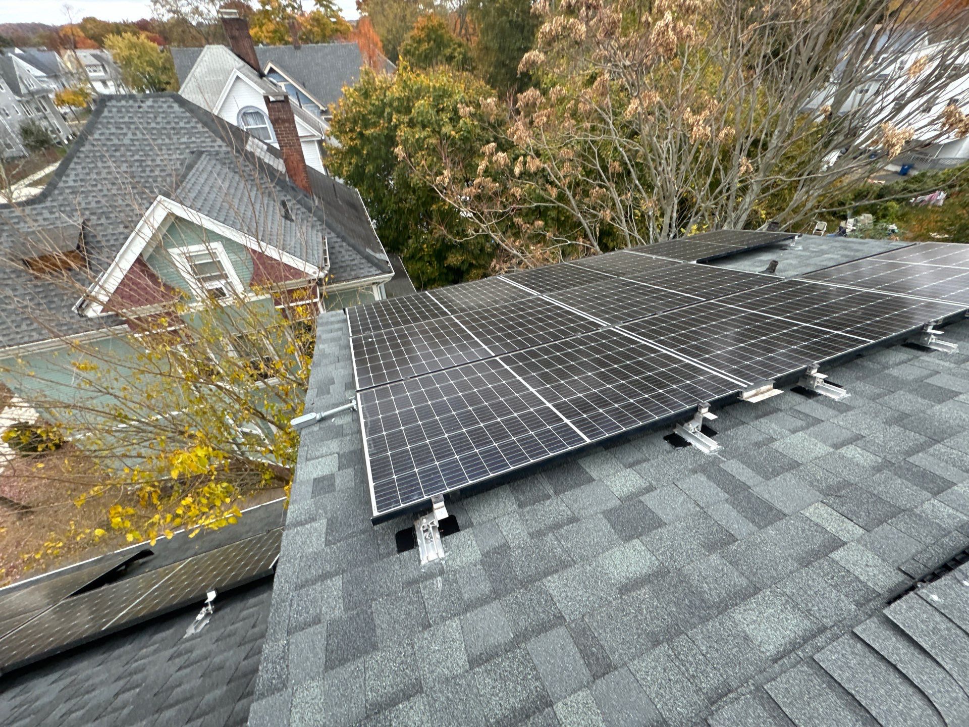 Silver Birch Shingles by Reimagine Roofing