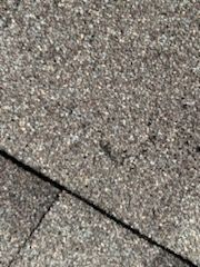 Roof Replacement by EL-GC LLC 