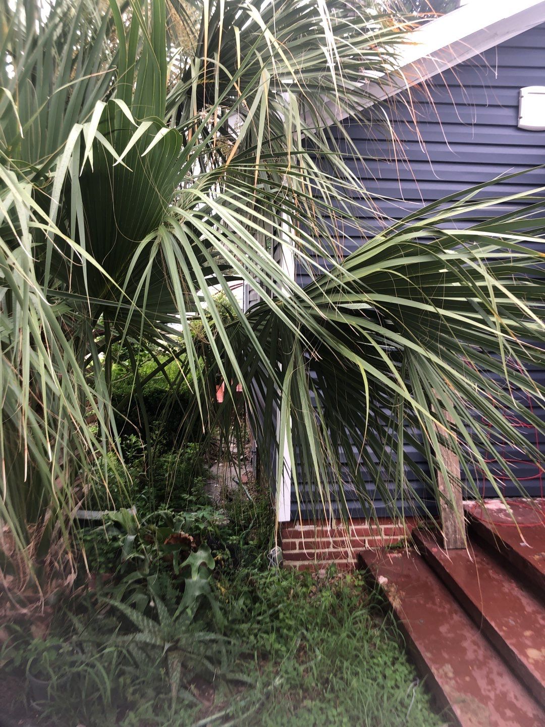 Gutter Installation using K-Style Seamless Gutters by Gutter Professors