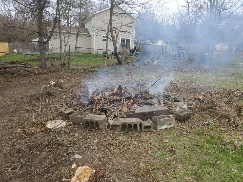 Tree Removal using Tree Removal by Mike Jones & Sons Tree Service LLC 