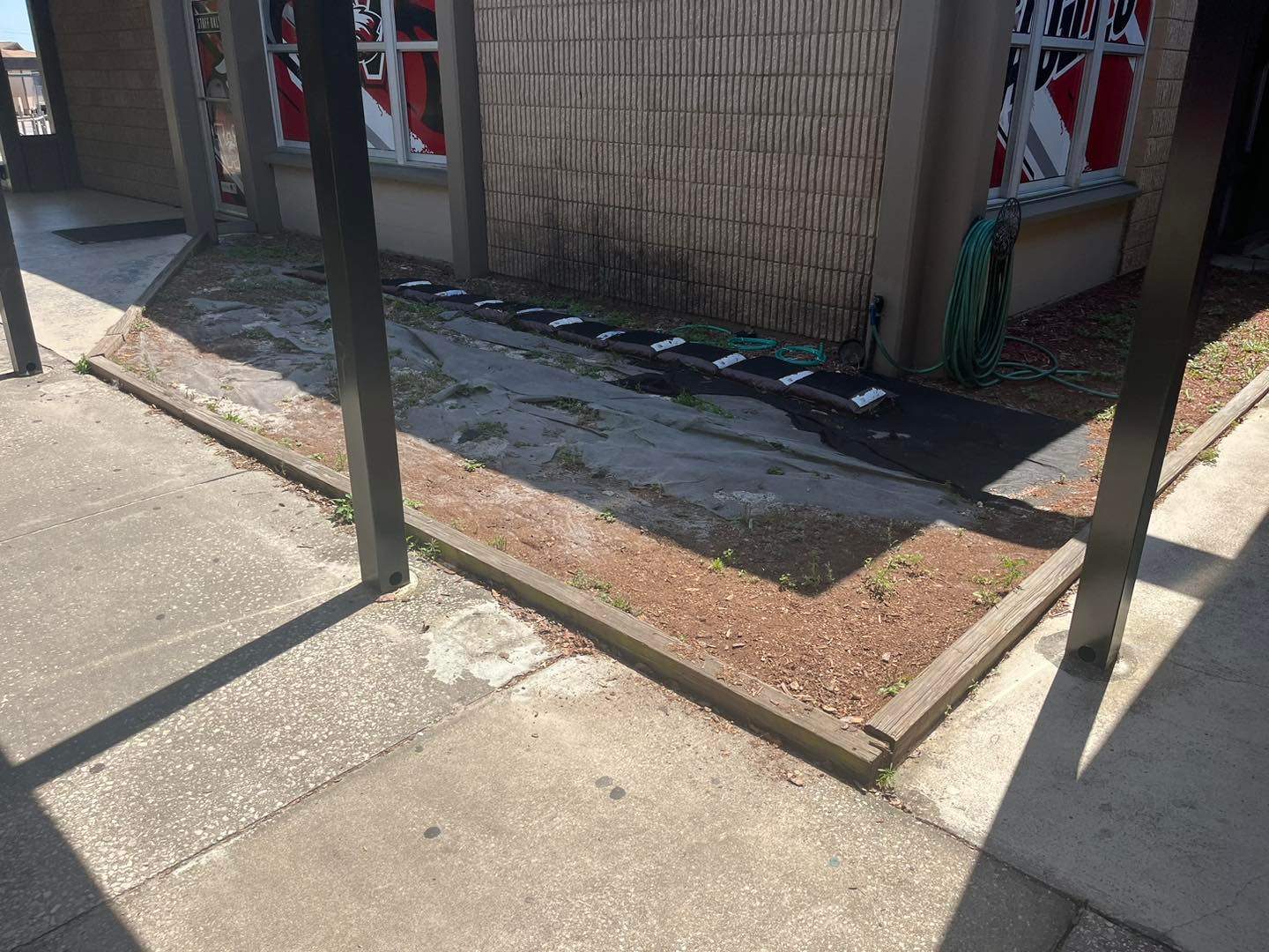 Landscape Install | Wilkinson JHS by ProGreen Services