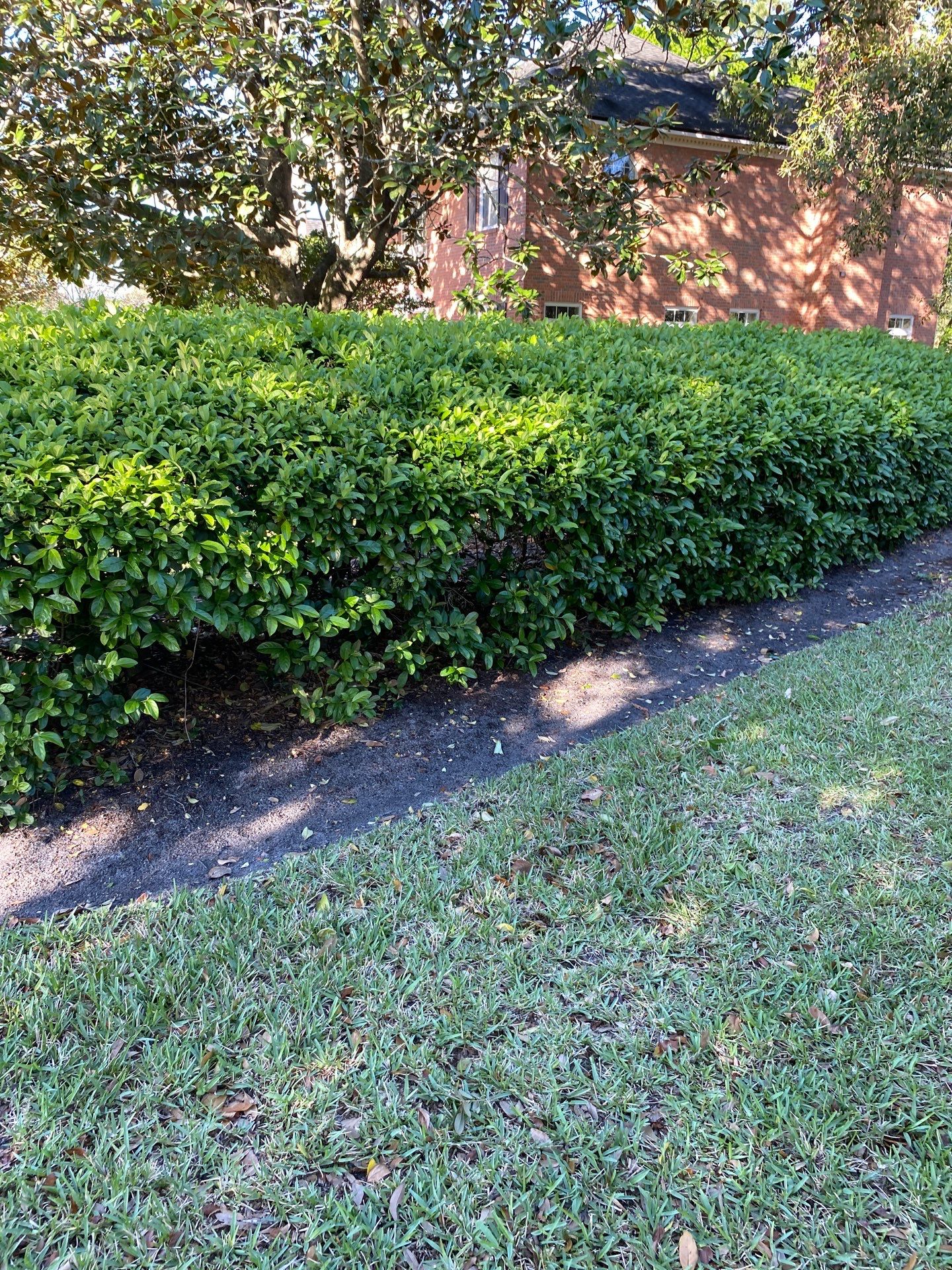 Deerwood Resident | Pine Bark Install by ProGreen Services