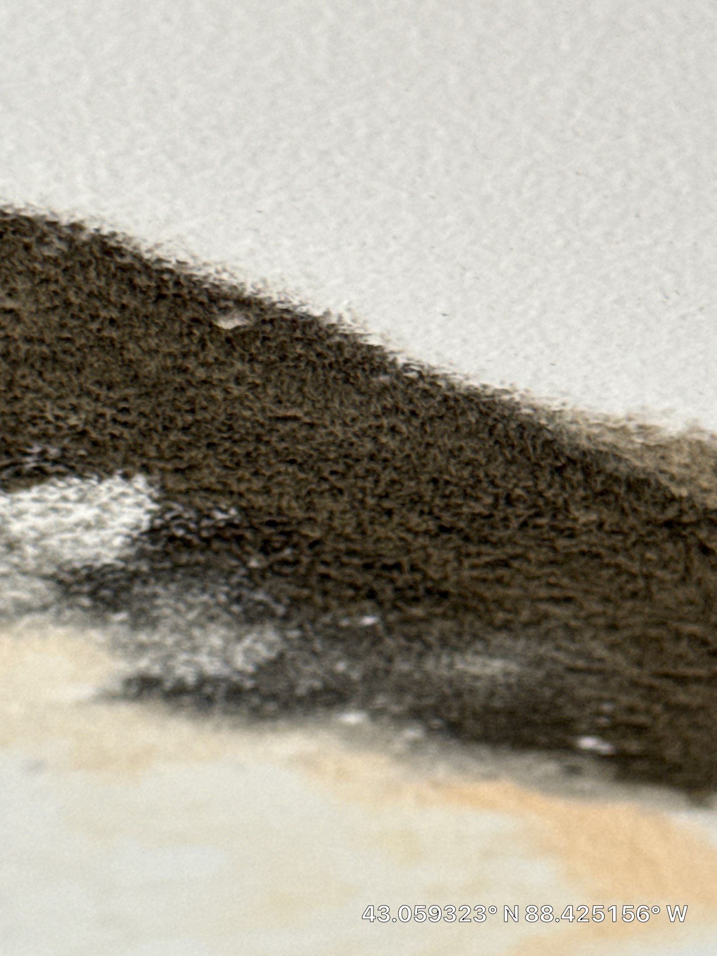 Mold Remediation for Delafield Residential Property by Dry Source Property Restoration 