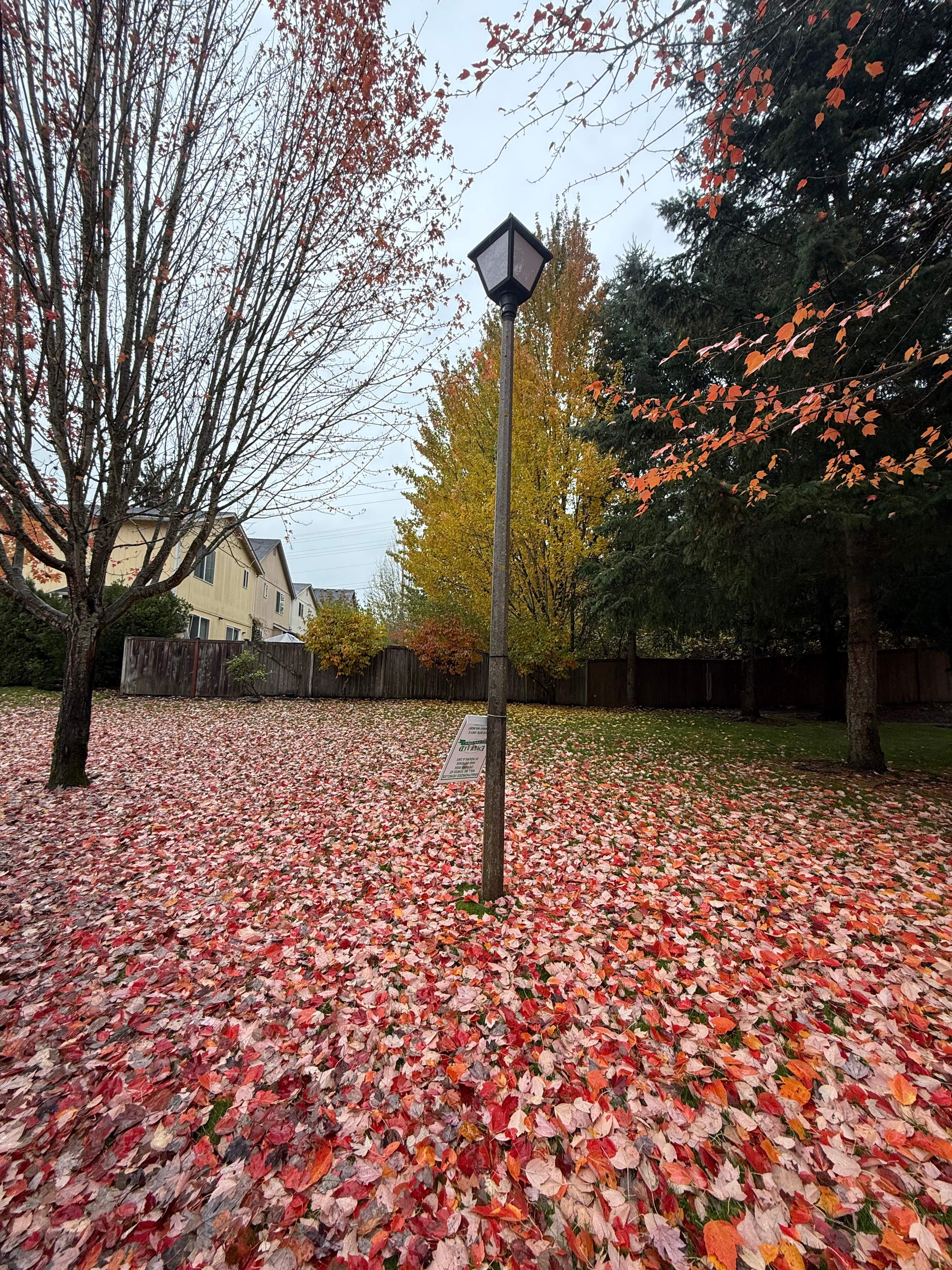 Community Street Lighting by Aztec Electric LLC