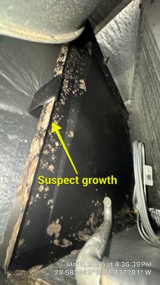 Air Duct Cleaning in Minneola