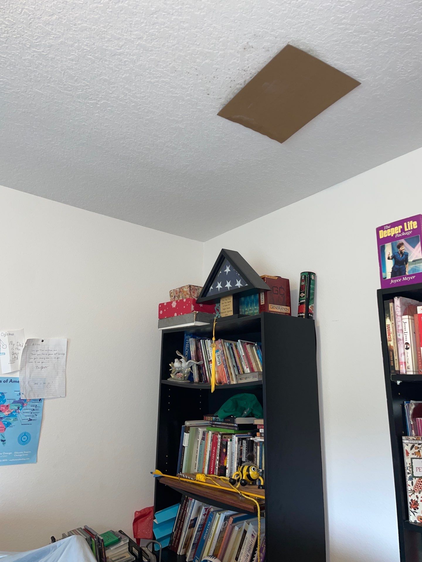 Air Duct and Dryer Vent Cleaning in Groveland by Hygienic Air, Inc