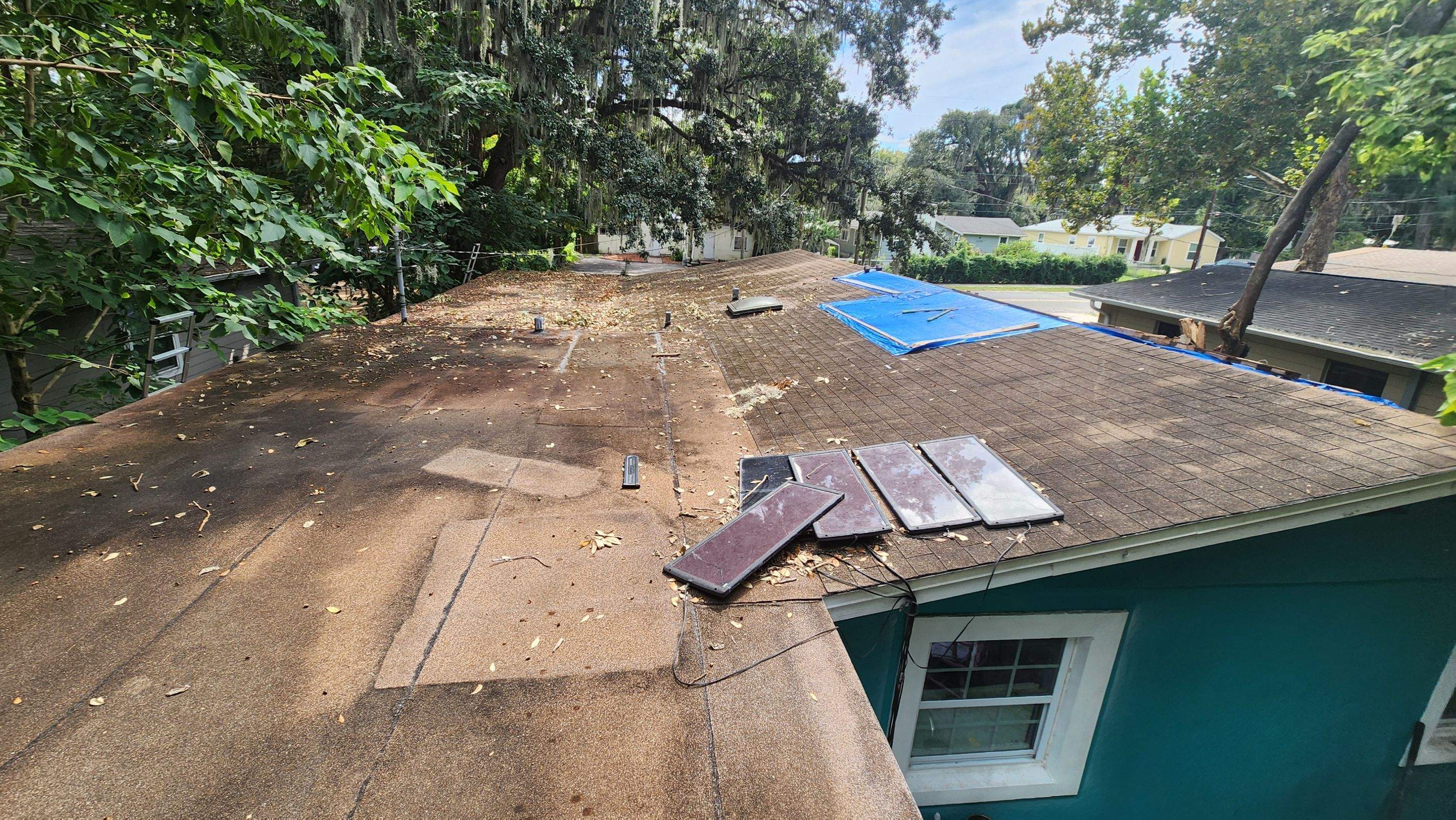 Tree Damage Claim in Orlando by FLAPA & KeyStone