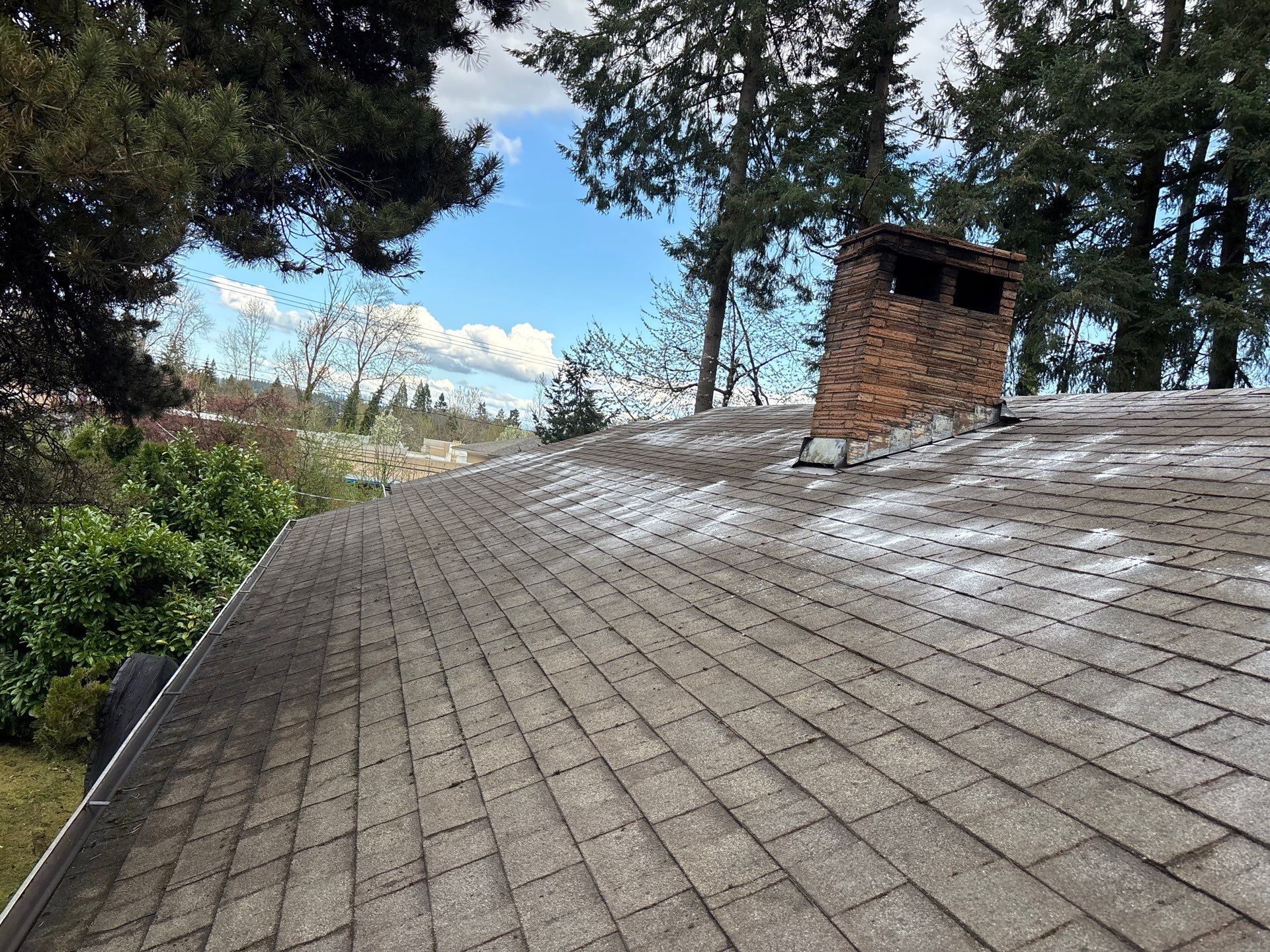 Roof Maintenance in West Linn by Prodigy Roof Solutions
