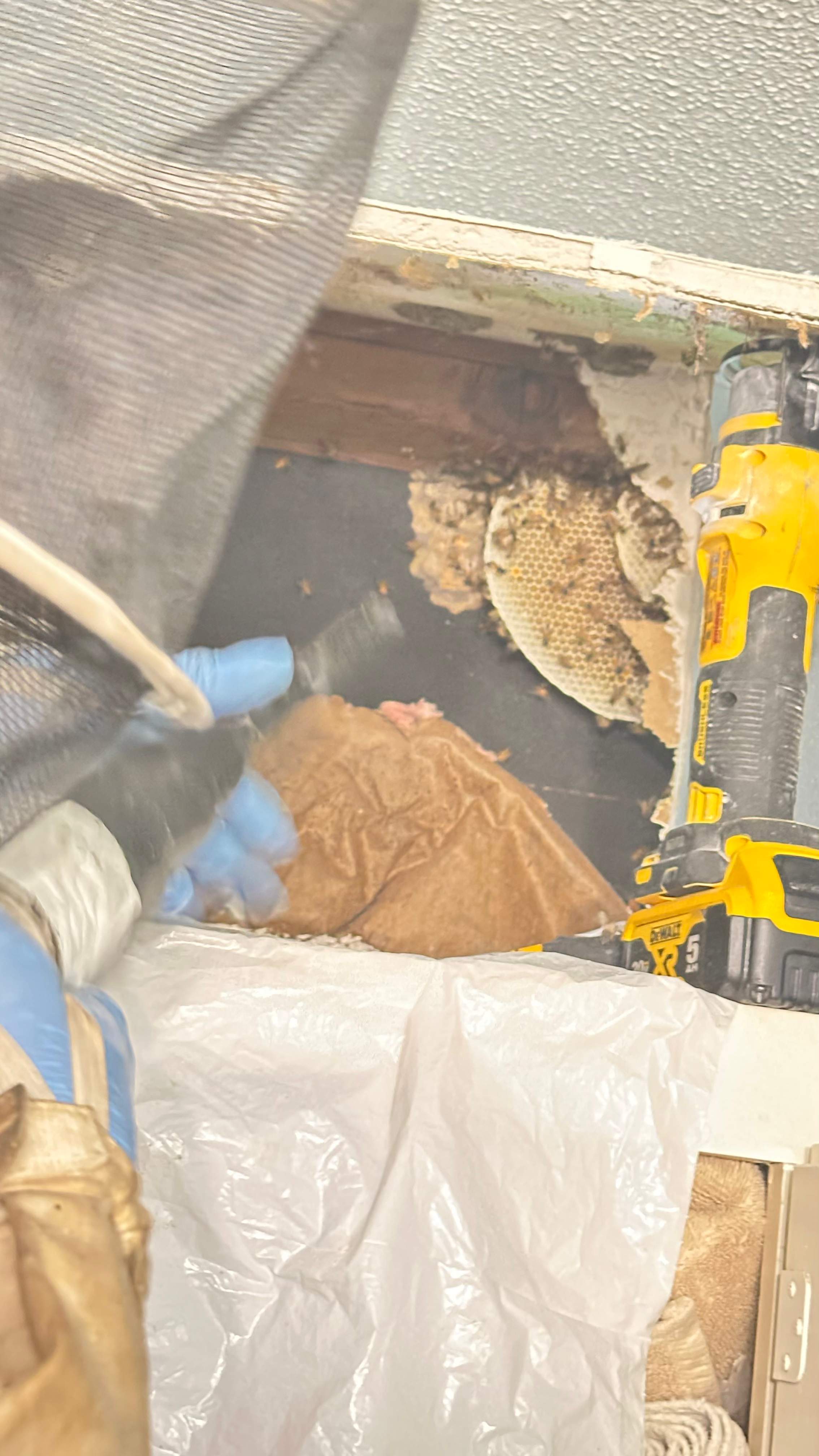 Laundry Room by Rockwall Honey Bee Company