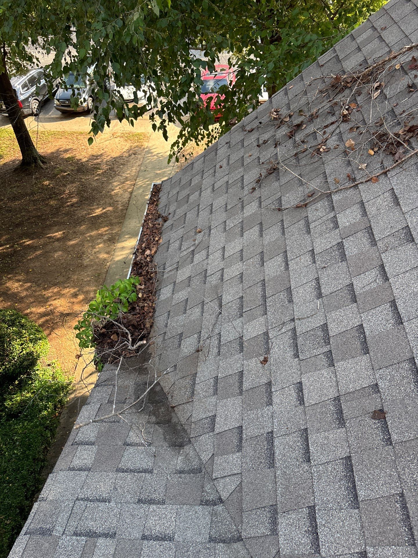 HOA gutter cleaning before photo.