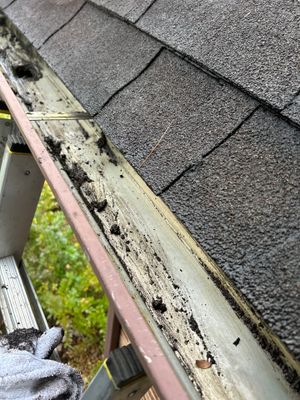 Turtle Shell gutter protection installation in Naperville, IL 60563, photograph 11