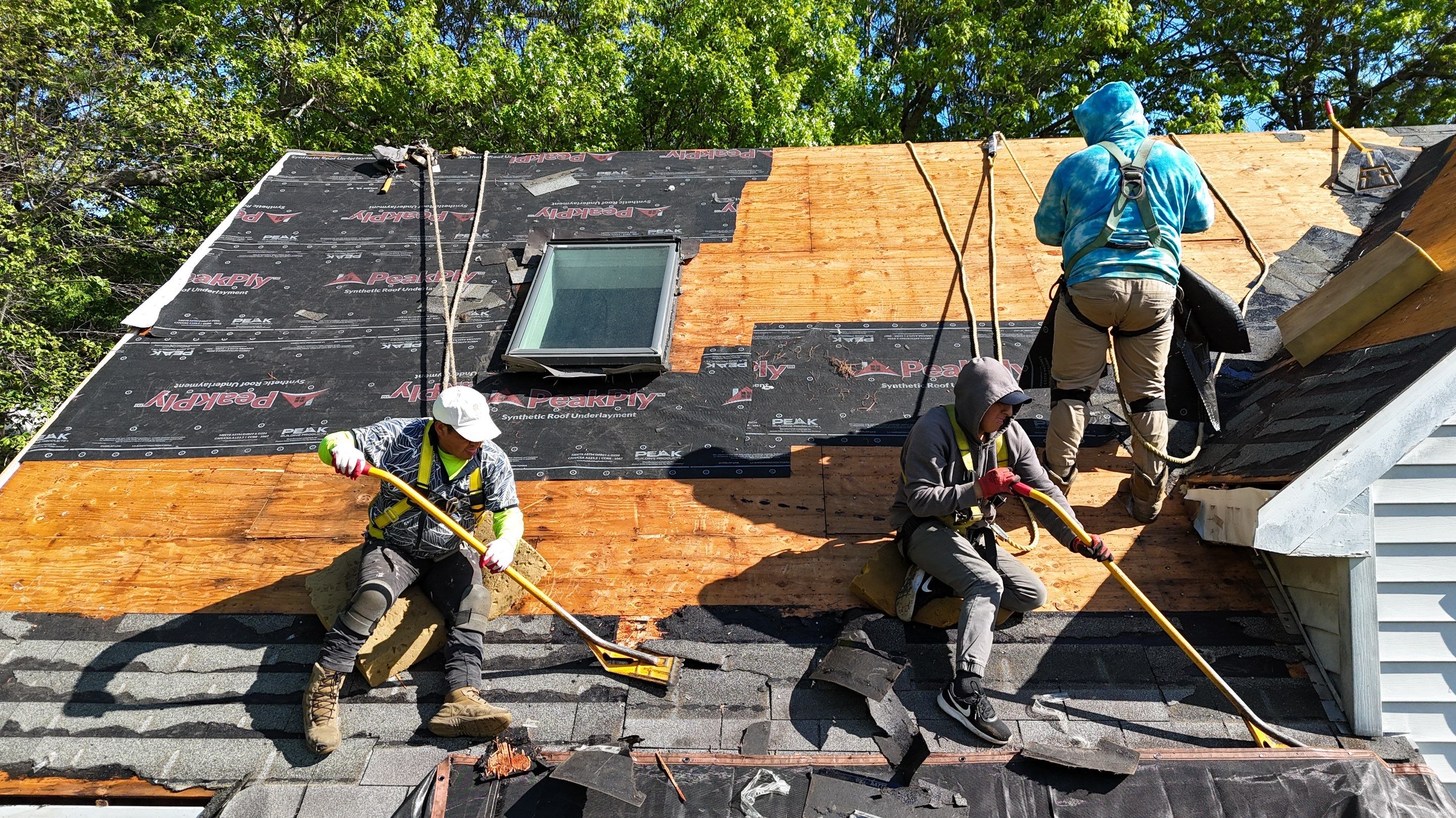Siding, Roofing & Skylights | Haverhill by Mighty Dog Roofing of Greater Middlesex County