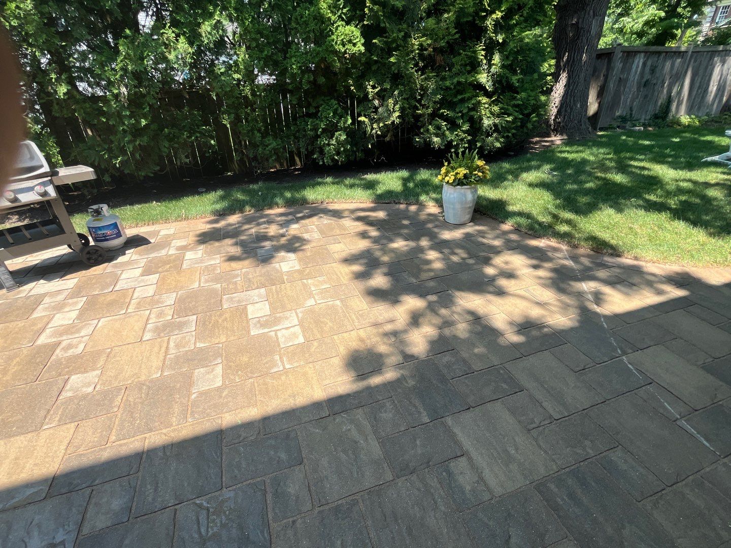 bluestone using Algaecide, soft wash soap by Northern Power Washing LLC.