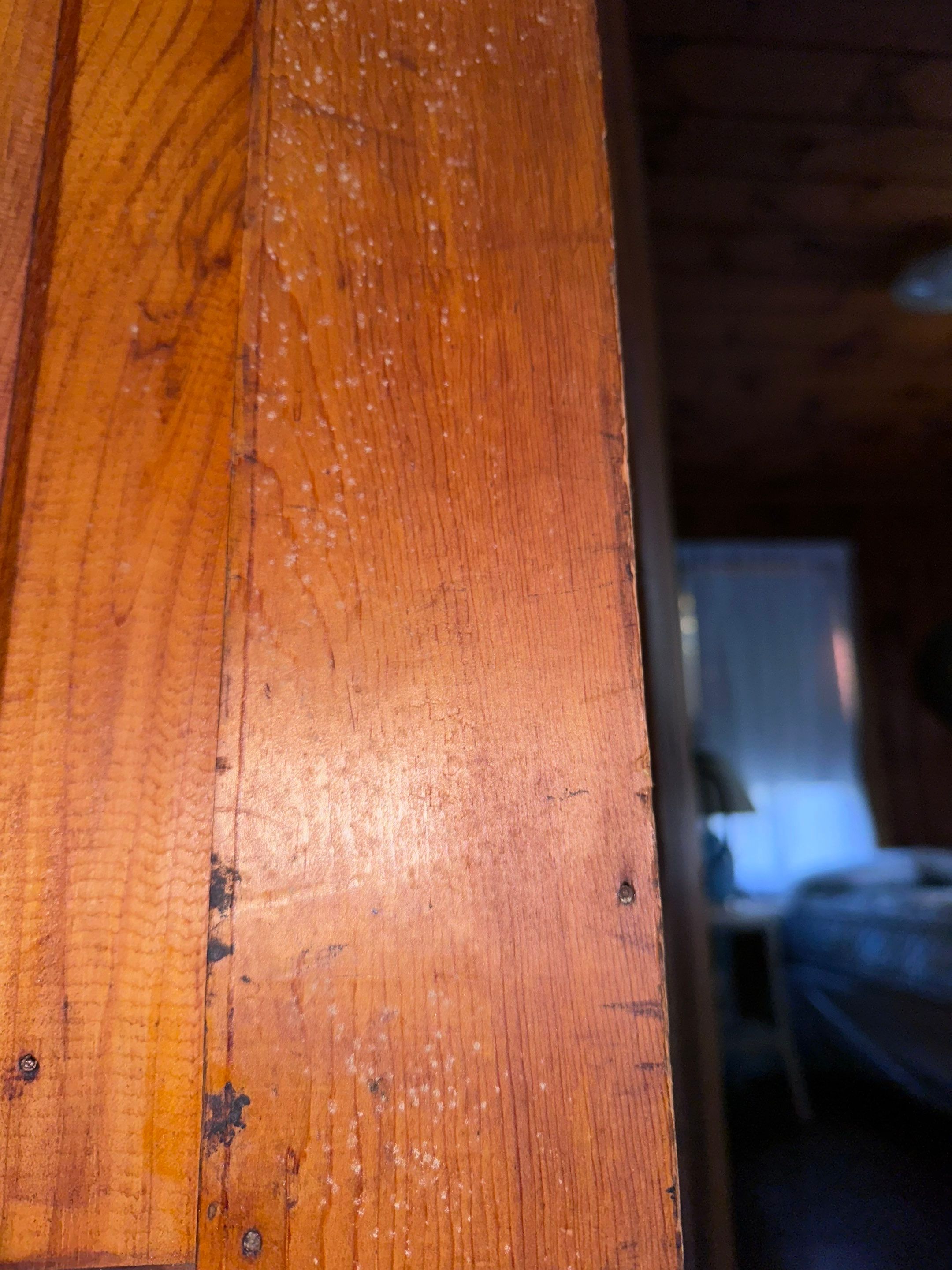 Entire Home Remediation by Home Guarantee, LLC