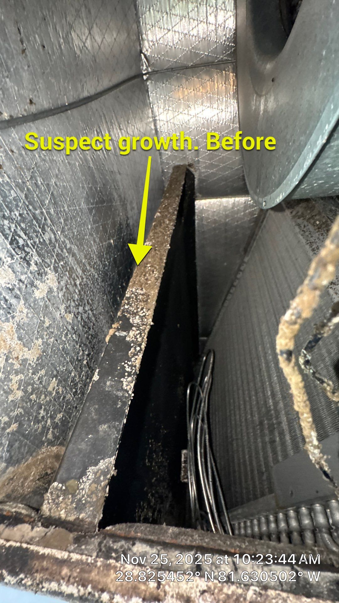 Air Duct Cleaning in Mount Dora by Hygienic Air, Inc
