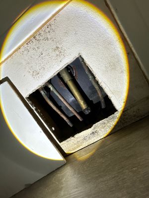 Bradenton Water Damage 