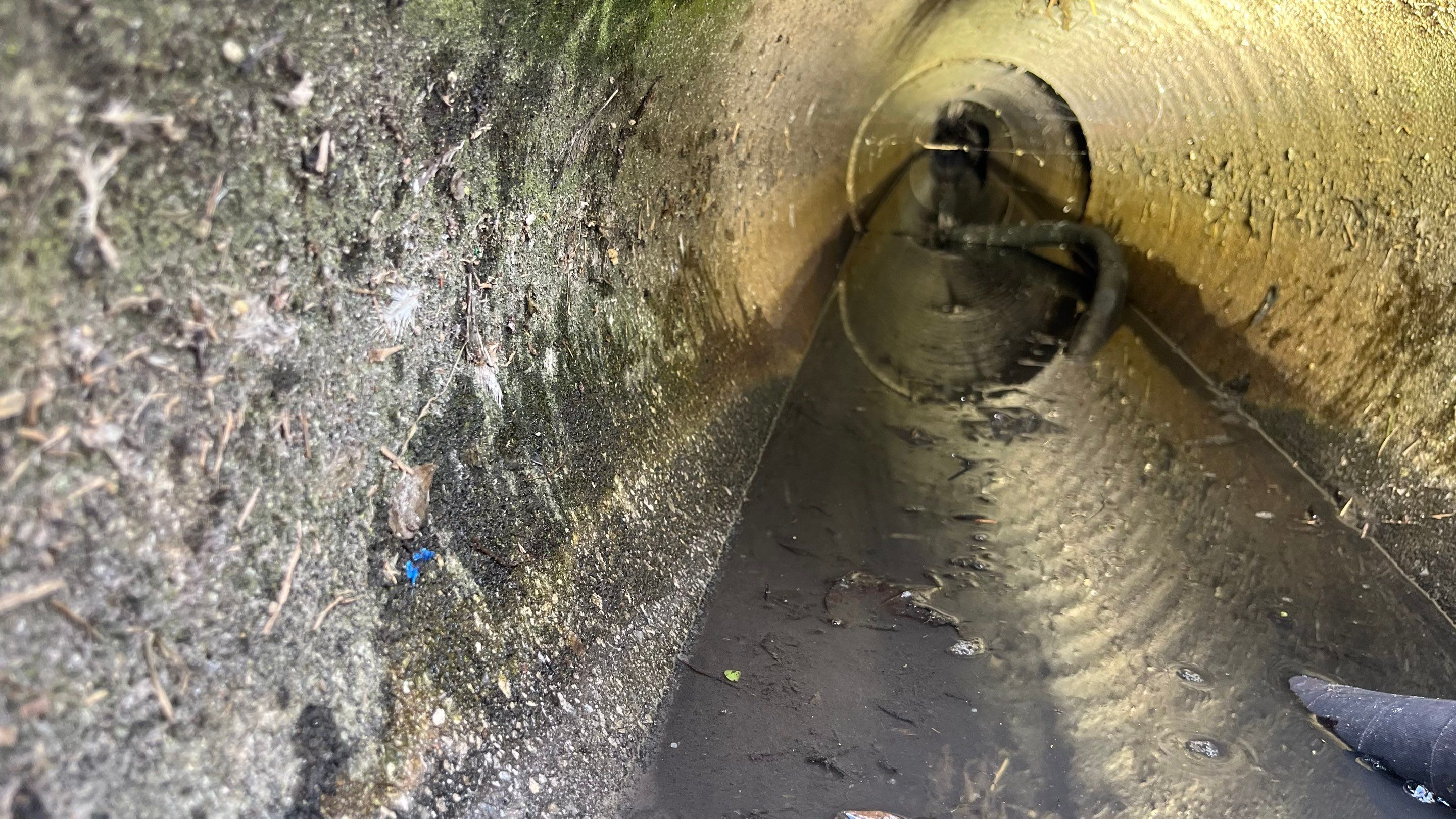 Condo Storm Water System Maintenance and Repairs by APS Power & Water