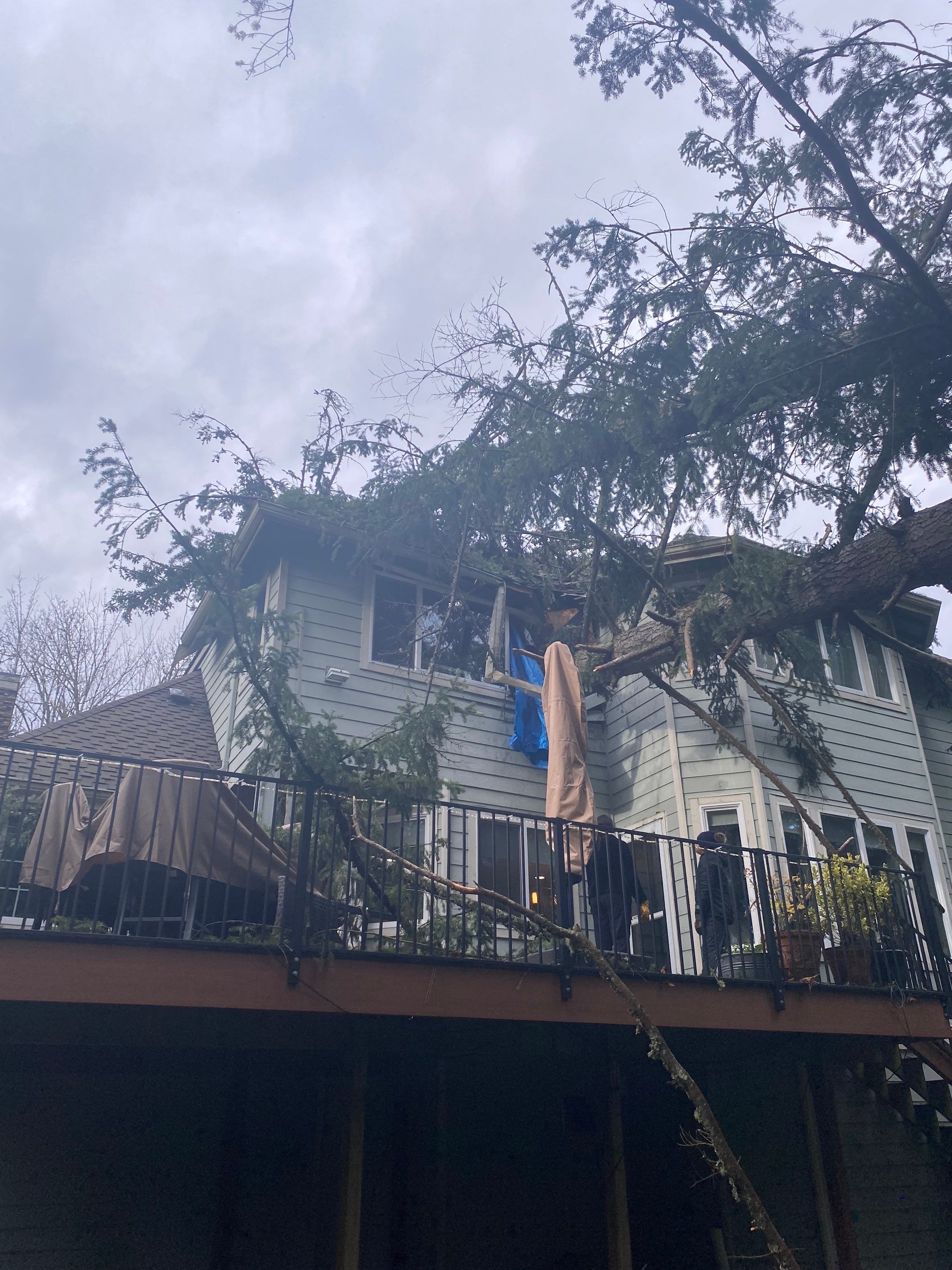 Tree Strike Roof Replacement in Sammamish by RoofSmart