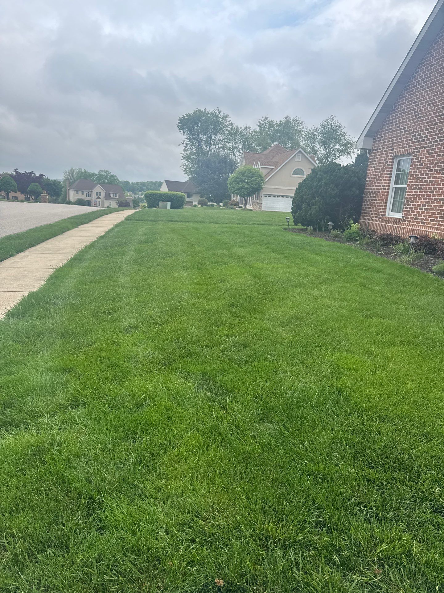 York Pa by Go Green CLC