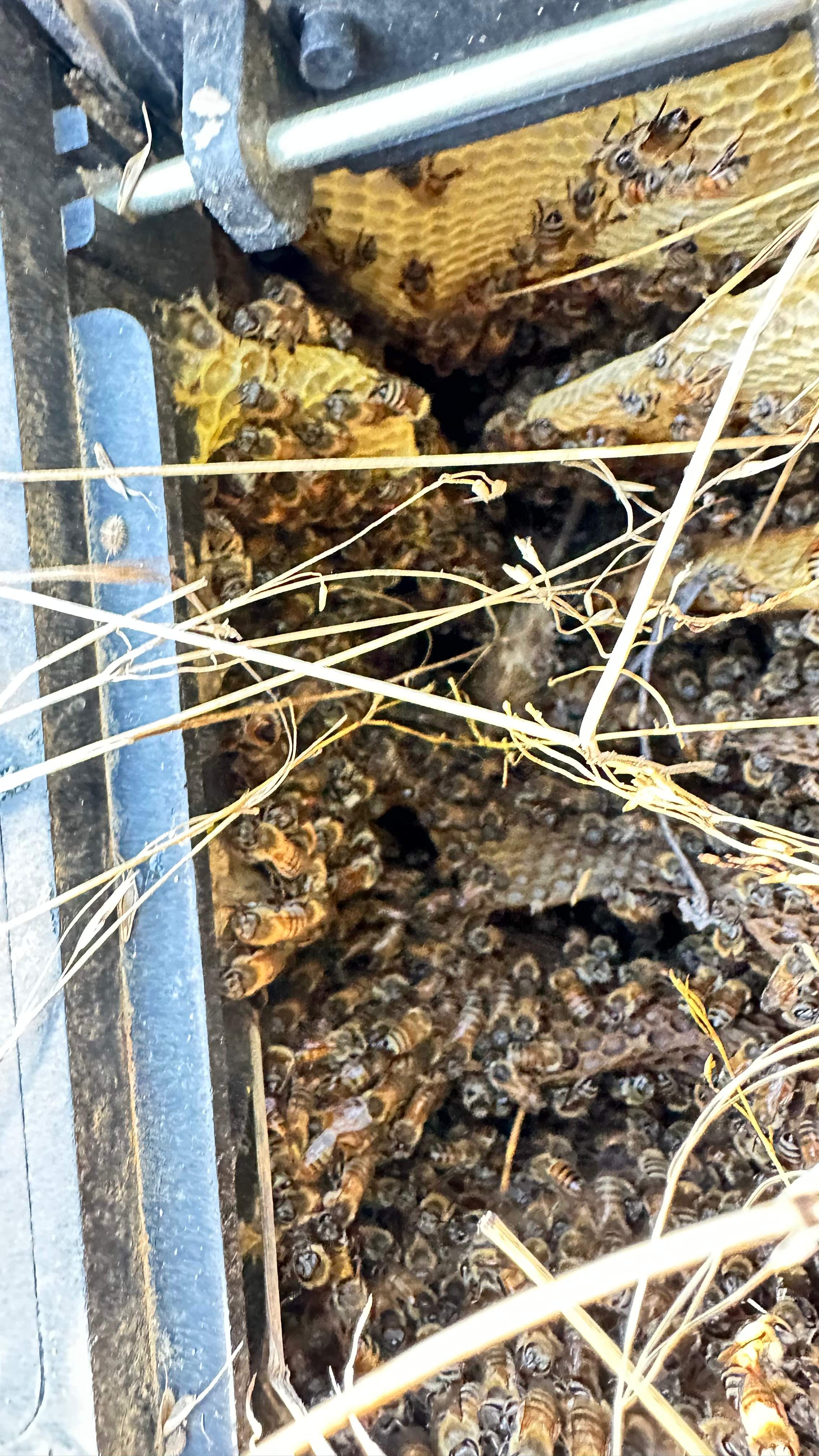 Well Meter by Rockwall Honey Bee Company