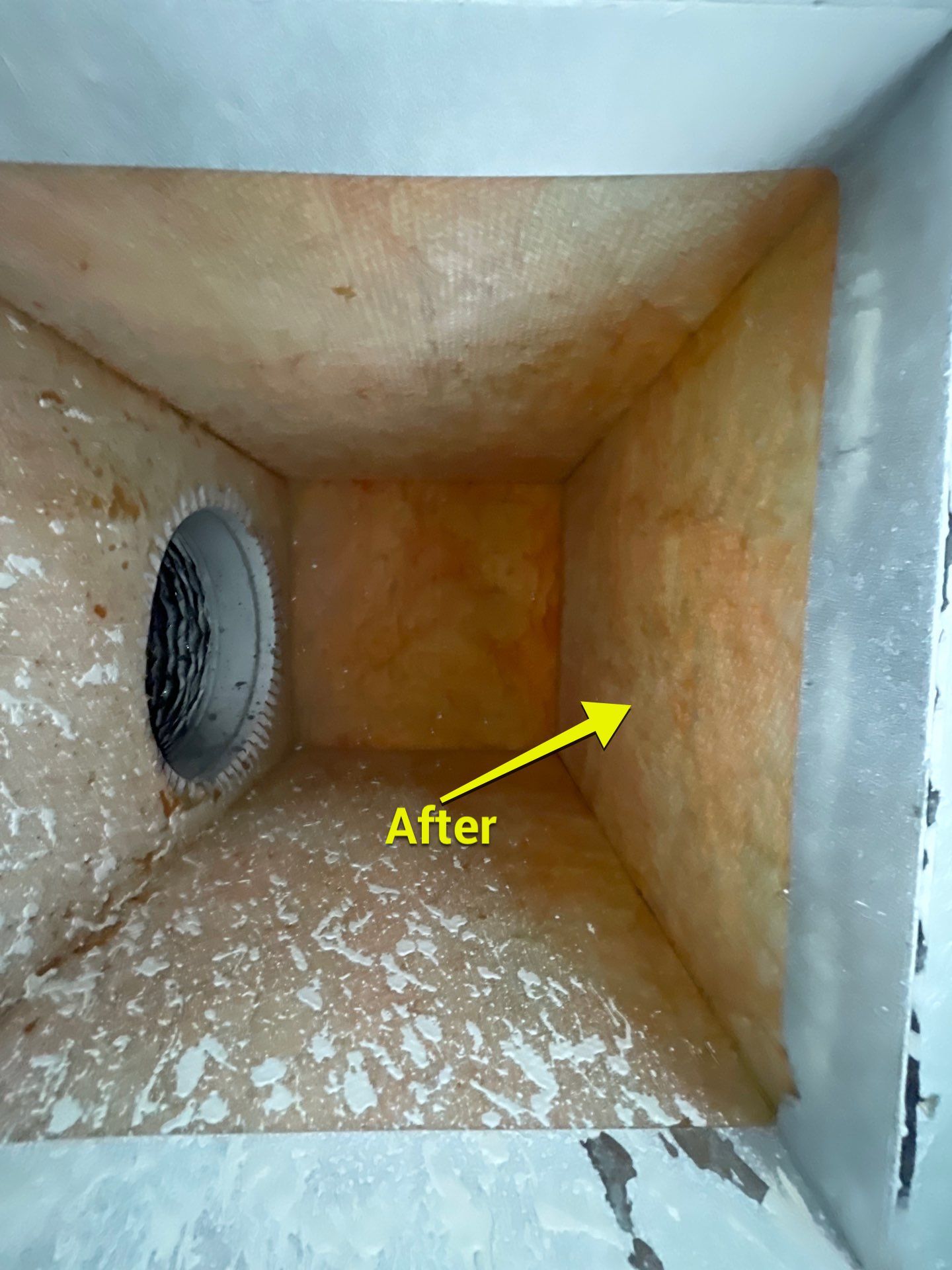Air Duct Cleaning in Bartow by Hygienic Air, Inc