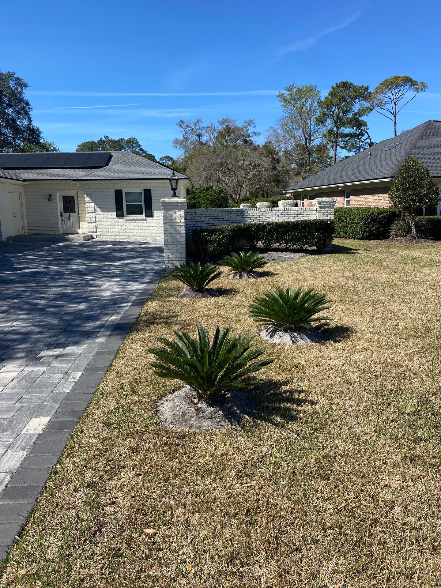 Deerwood Resident | Tree Removal & Install by ProGreen Services