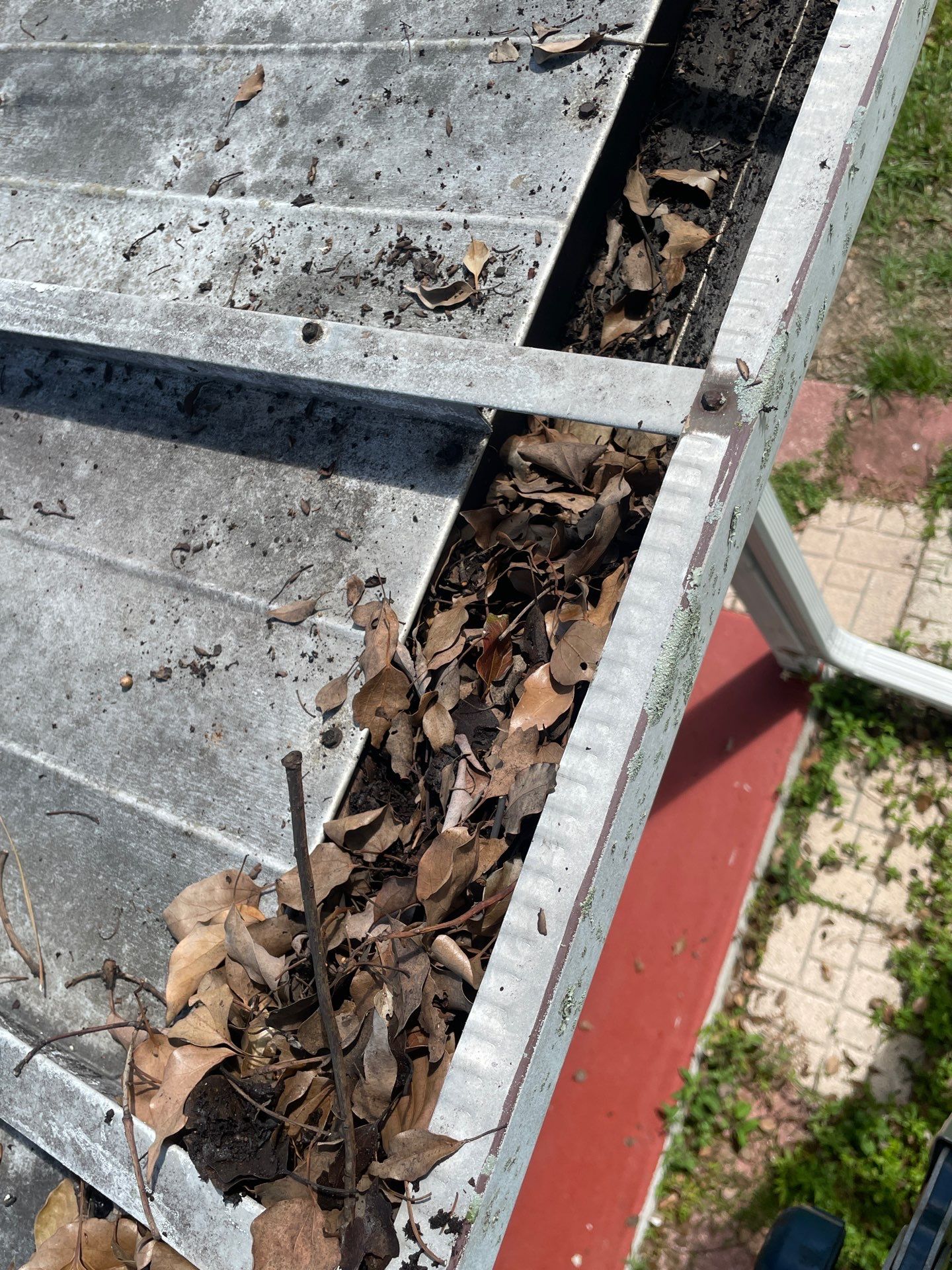 Gutter Cleaning in Brandon FL by Gutter Professors