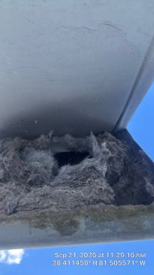 Air Duct & Dryer Vent Cleaning in Orlando