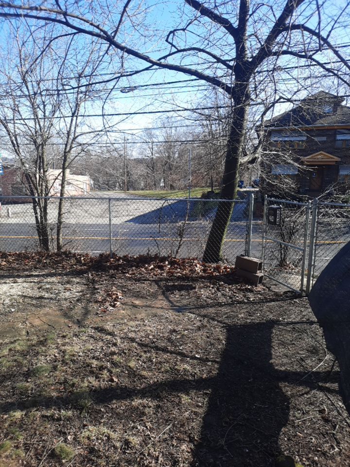 Tree Removal using Tree Removal by Mike Jones & Sons Tree Service LLC 