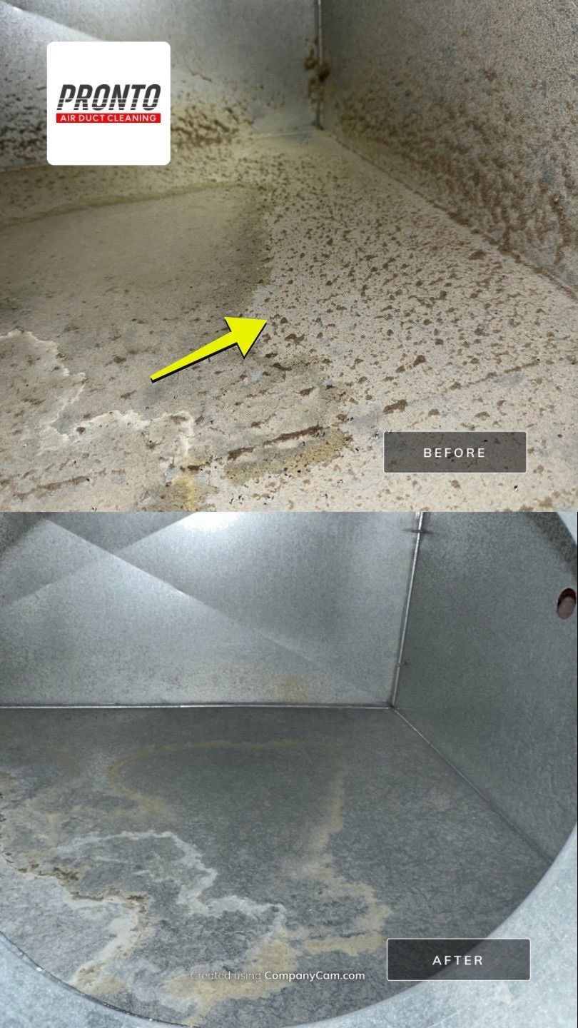 Air duct cleaning using Hypervac by Pronto Air Duct Cleaning