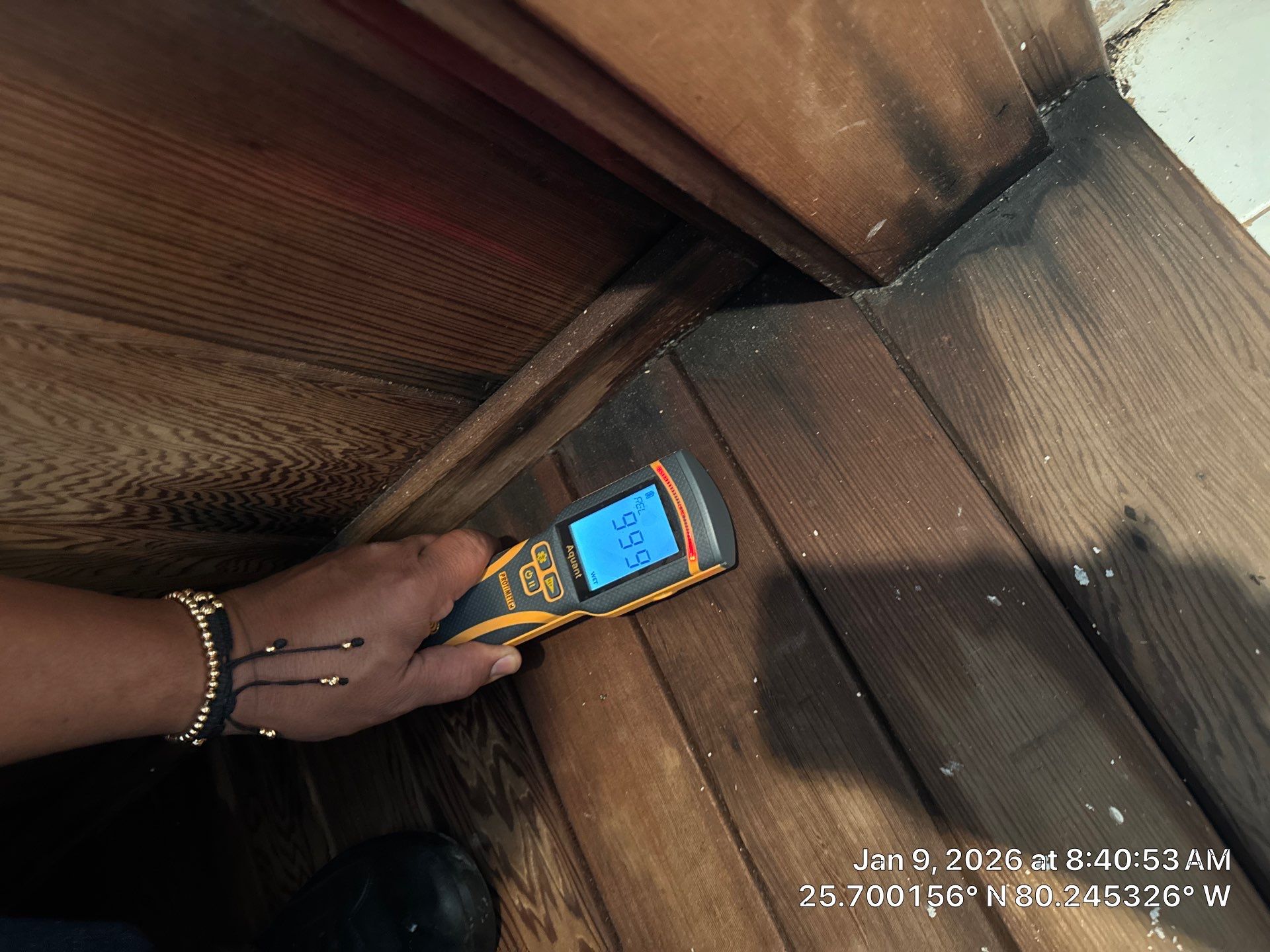 BIOHAZARD by SuperClean 