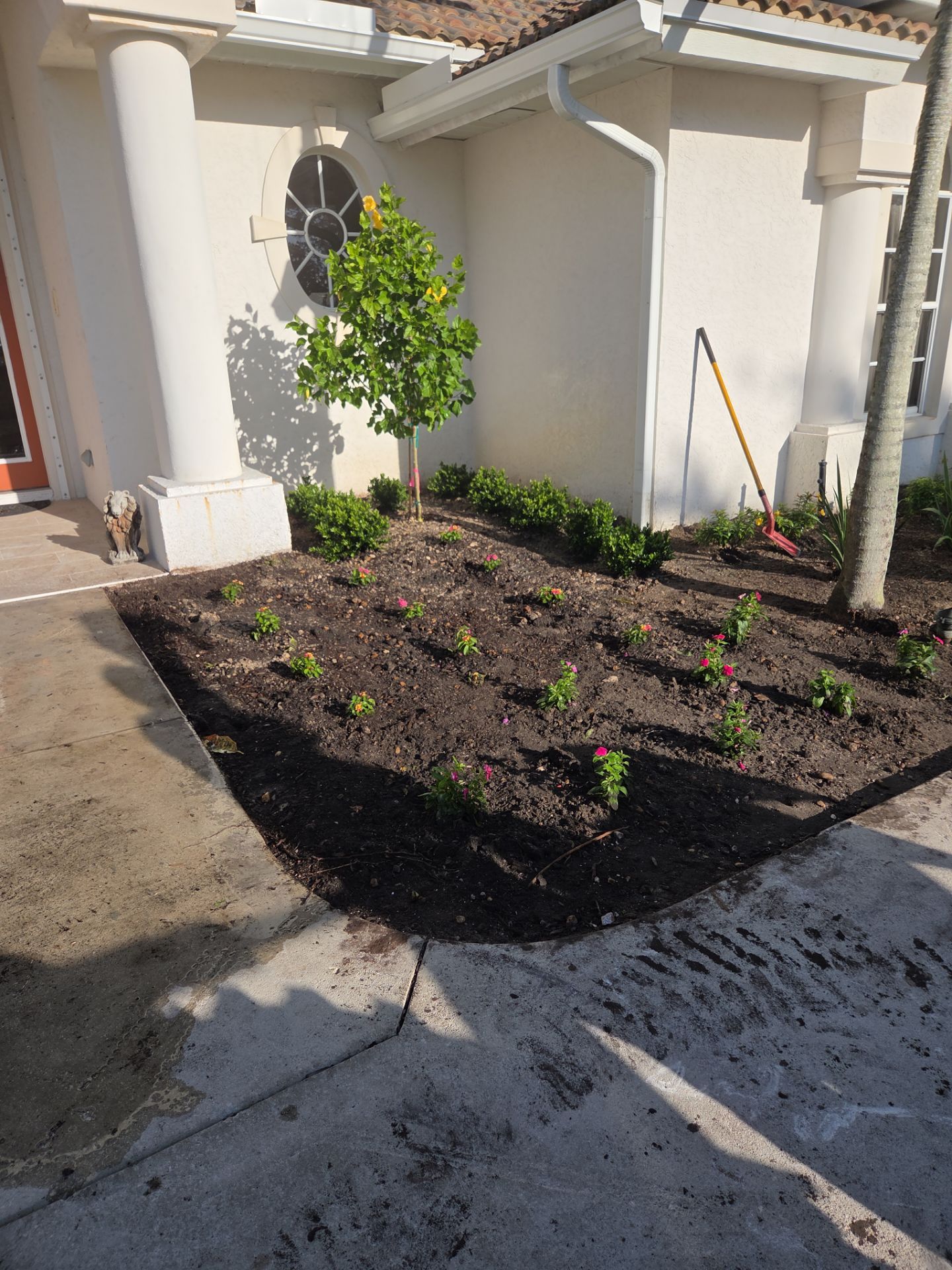 🌴 Landscape Removal and Install in Palm City by Alpha Zeta Enterprises Inc