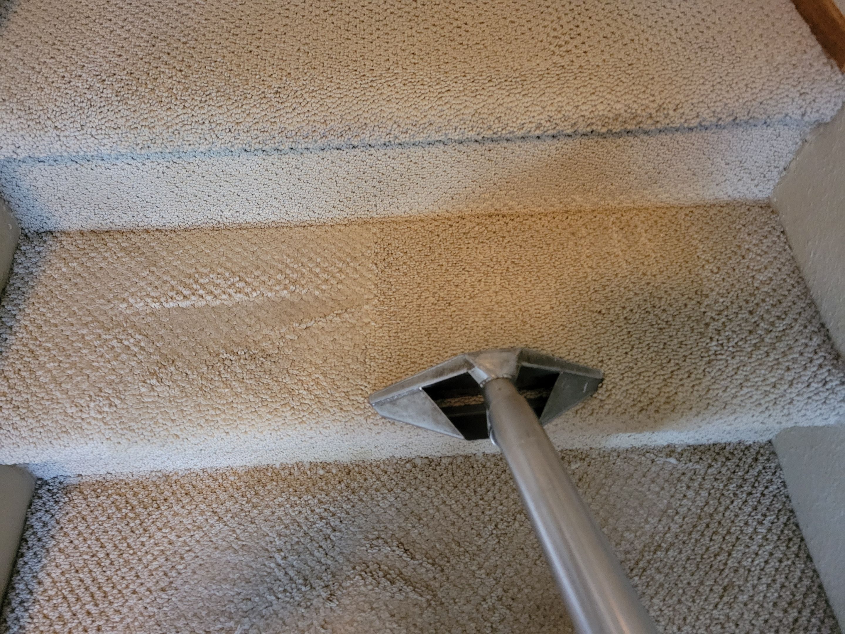 Condo, Residential Carpet Clean by Ardent Carpet Restore LLC
