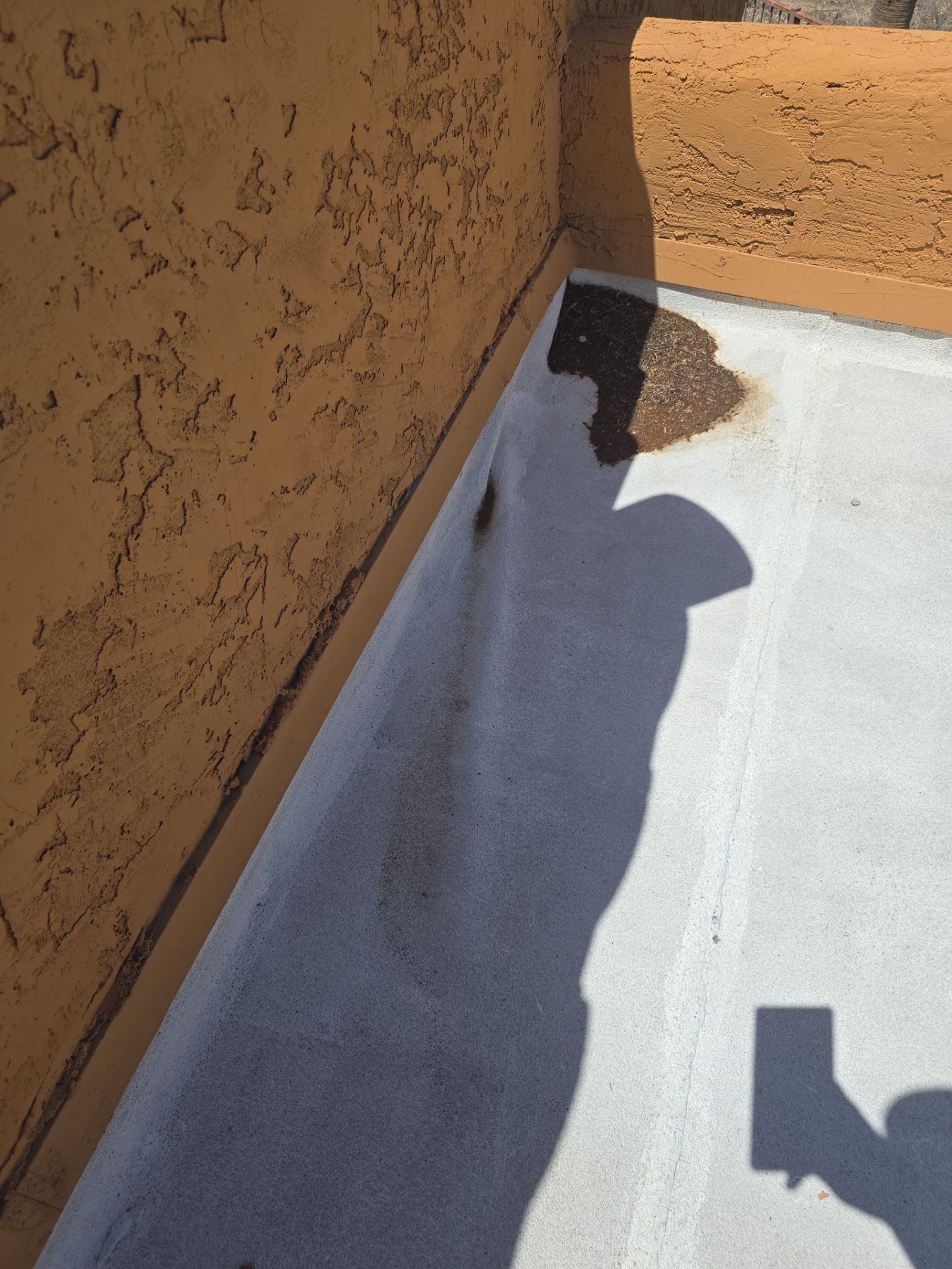 Project in Phoenix, AZ by Showtime Roofing & Coatings LLC