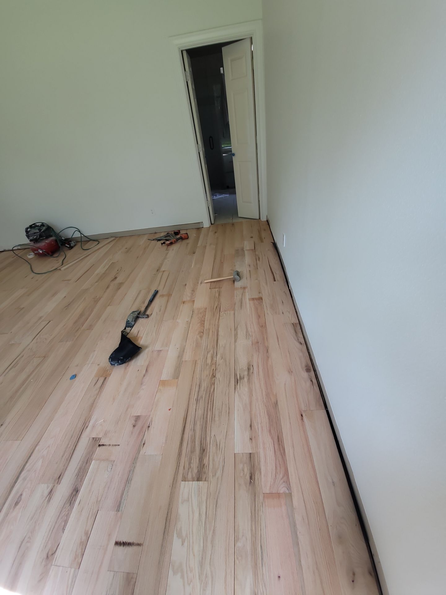 The Napolitano Family by SophAlx LLC