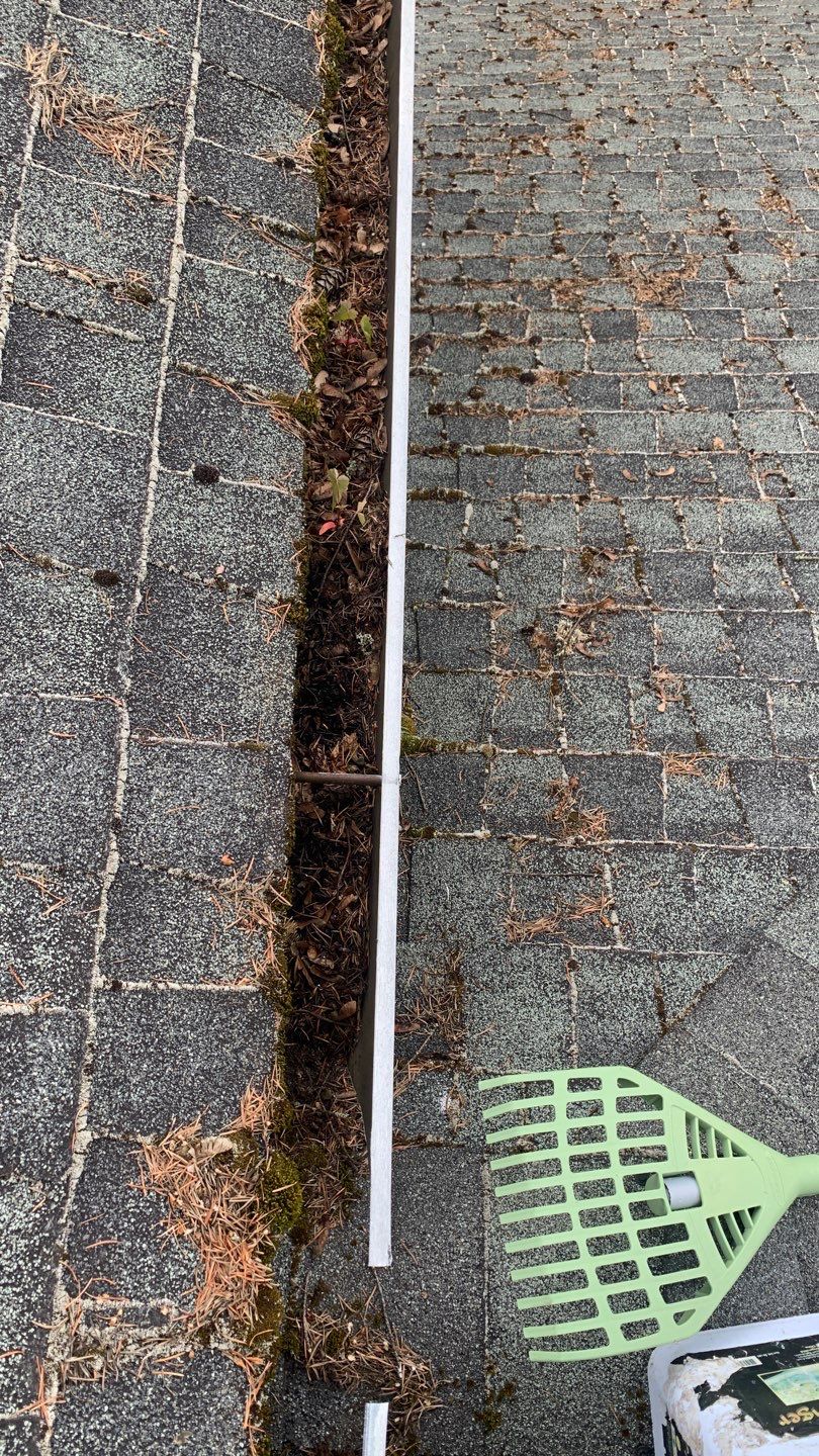Softwashed in many Years back, and organic regrowth significant by DawnSky LLC
