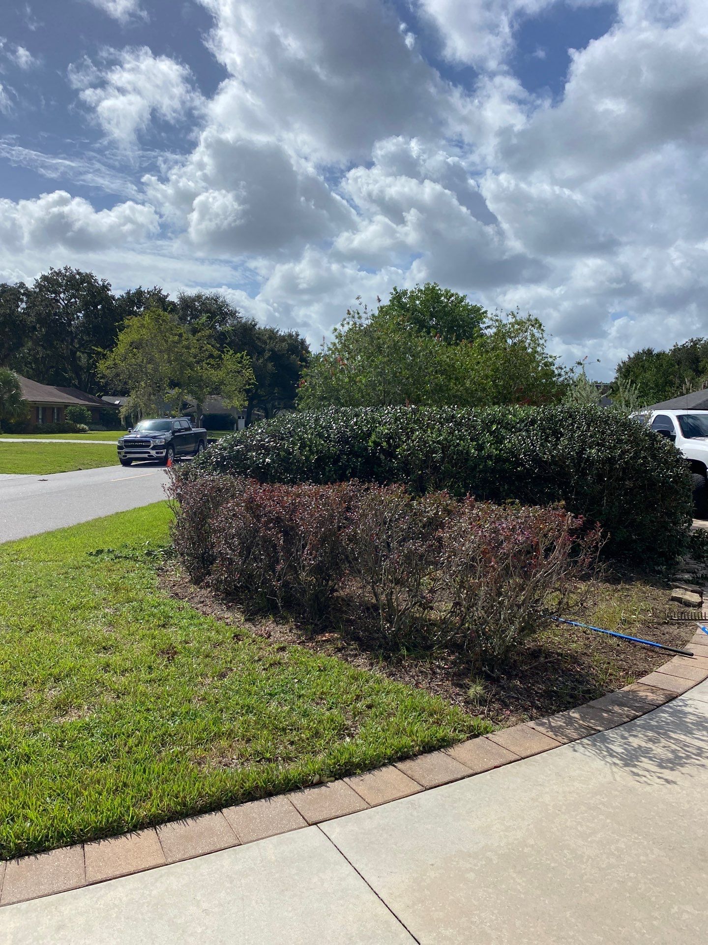 Deerwood Residence | Extreme Clean Up by ProGreen Services