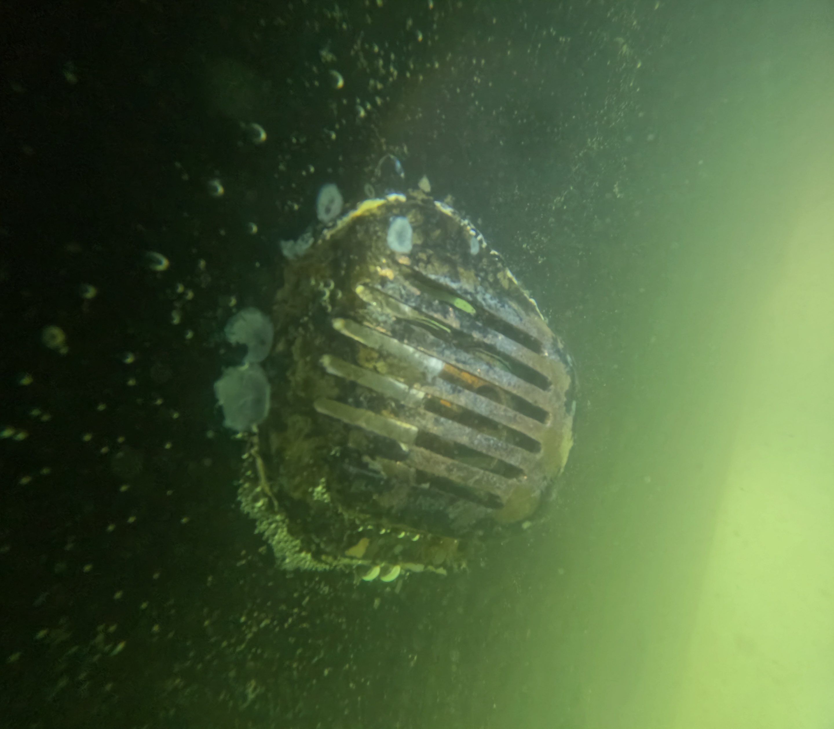 Project in Marco island, FL by Florida Hull Cleaning 