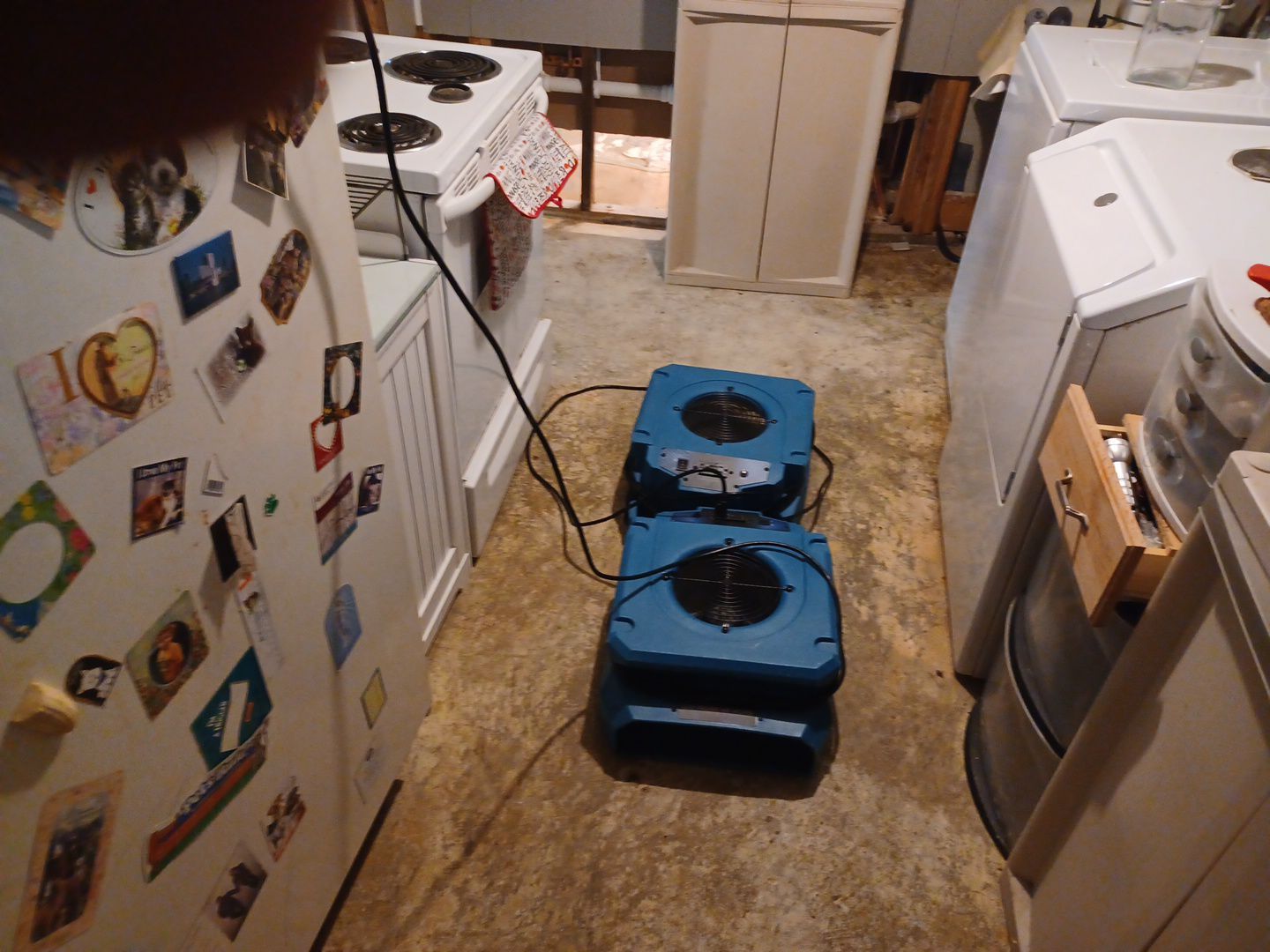 Project in Westland by EzDry Water Mitigation & Property Restoration