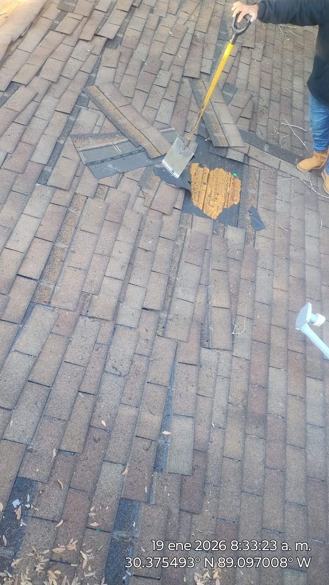 Leak Free Fortified Roof by Husband Roofing & Contracting