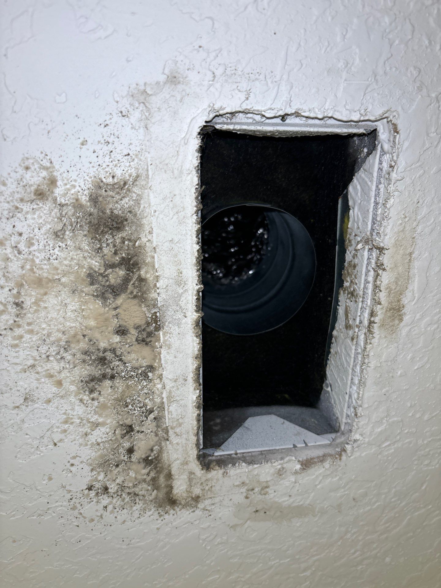 Mold Removal by Ampm Restoration Services