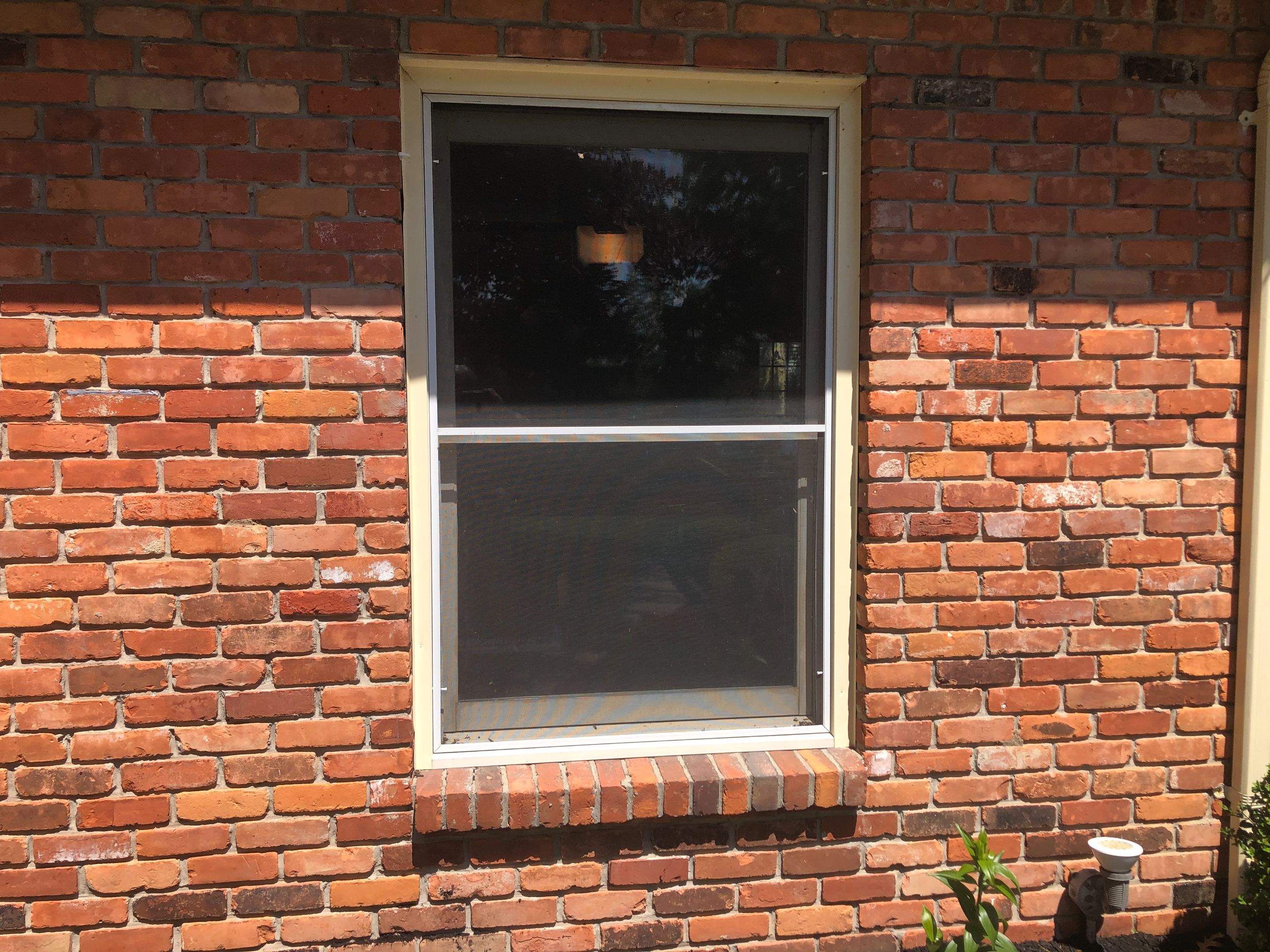 Window Replacement by Ivy Lea Construction