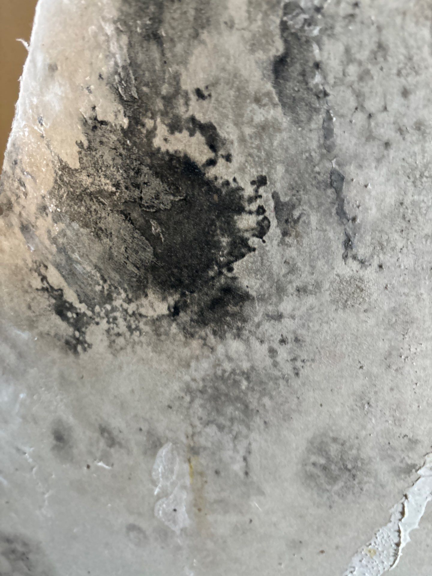 Home Mold Removal by Ampm Restoration Services