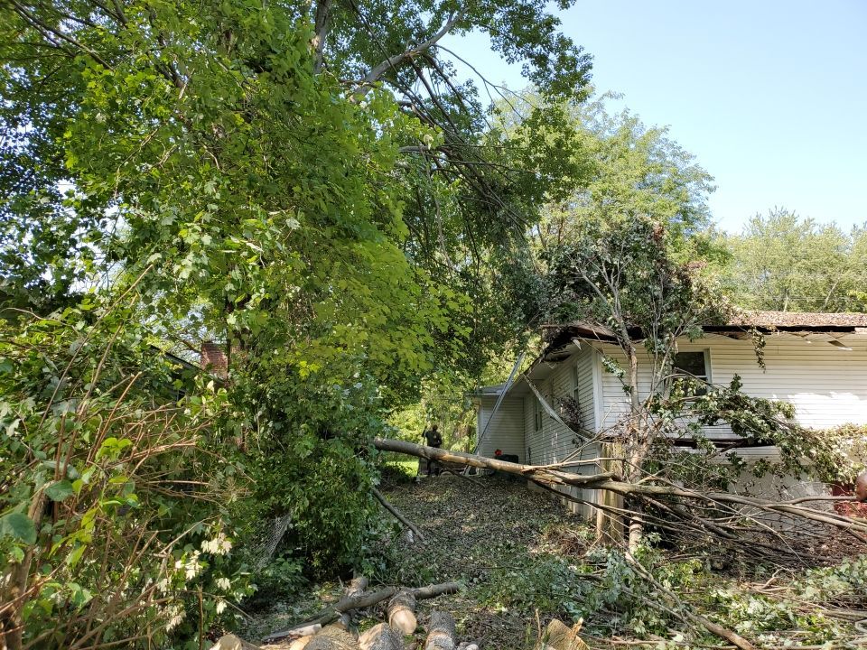 Storm Damaged Tree Removal  by Mike Jones & Sons Tree Service LLC 