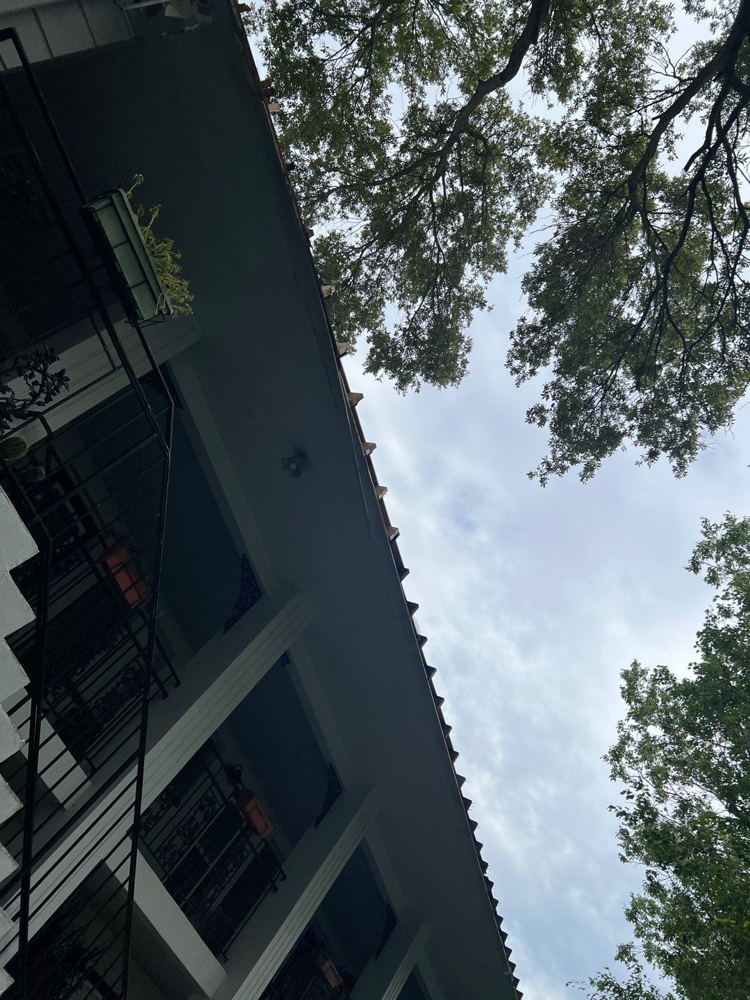 Project in St. Petersburg 33701 by Mitchell Roofing Company LLC