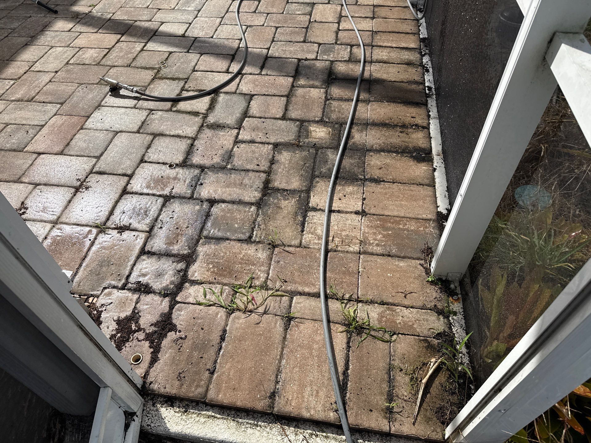 Paver Pool Deck & Screen Enclosure Transformation | University Park, Sarasota FL by Sunshine AquaWash