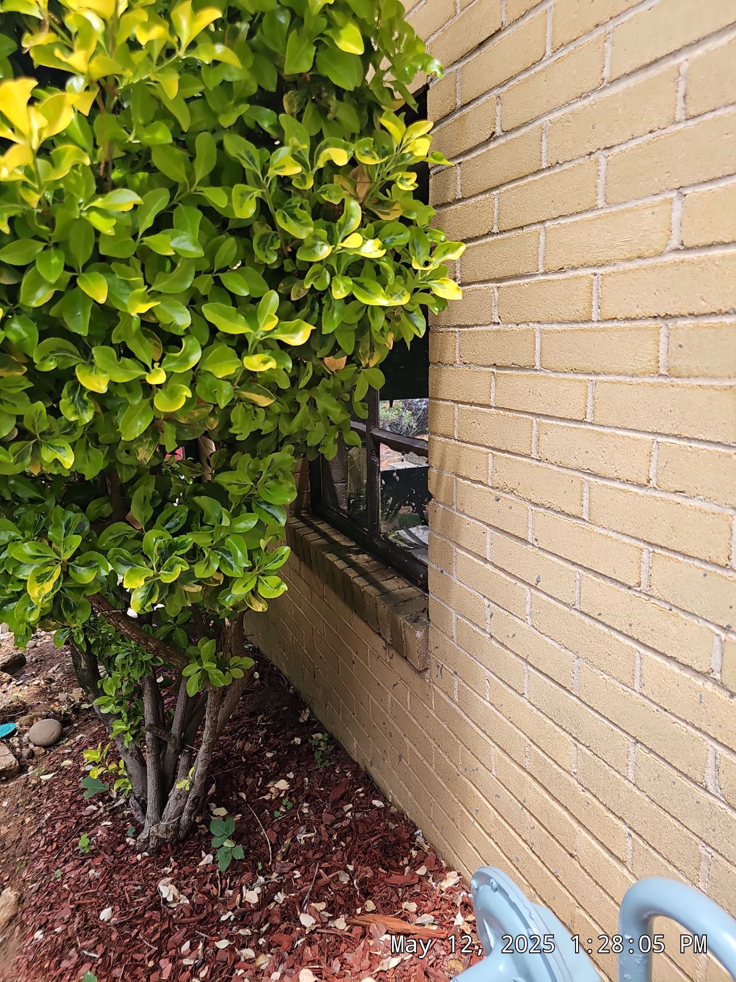 McMilan Project in Birmingham by The Window Source