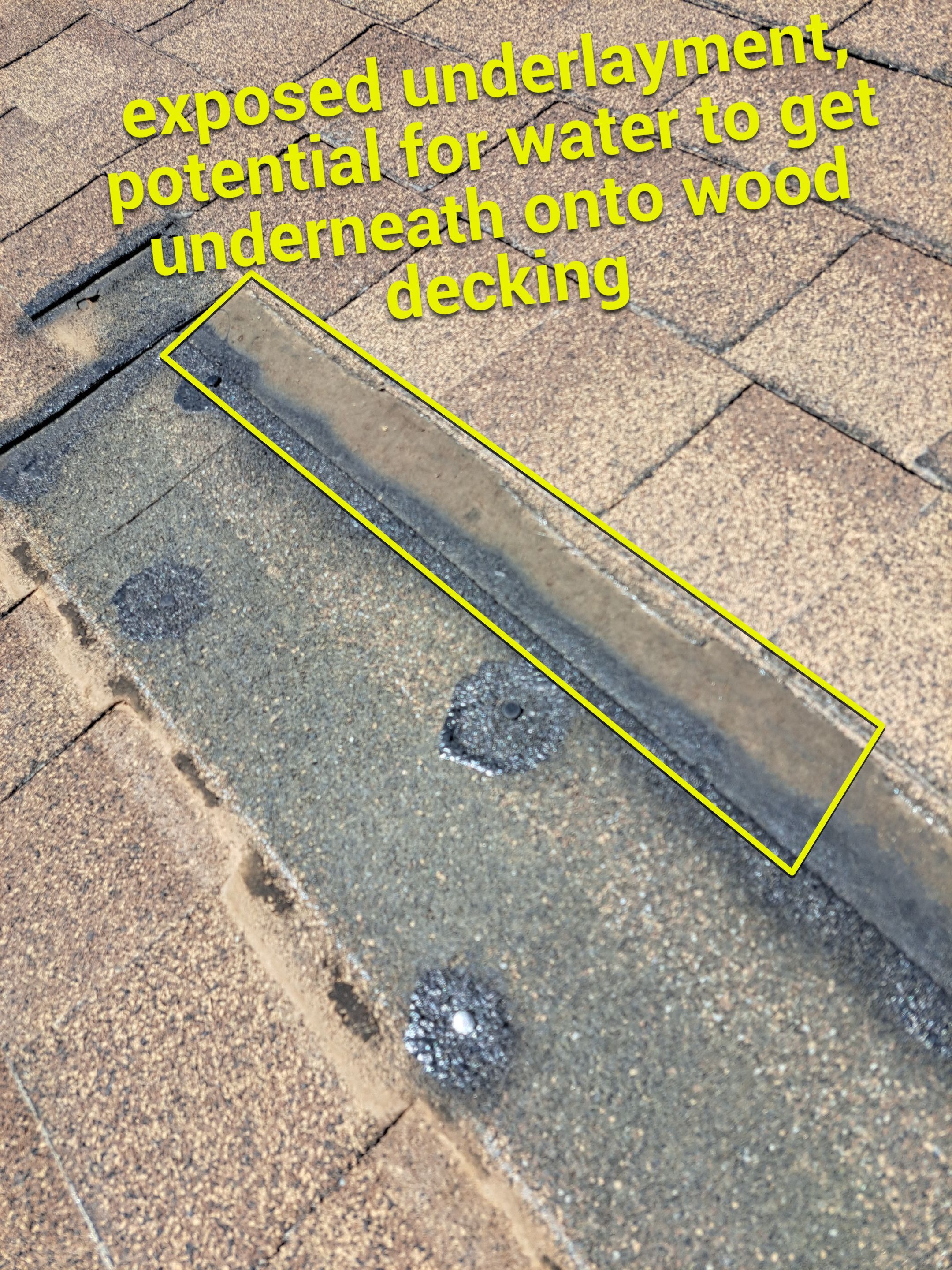 Amberwood Shingles by Reimagine Roofing