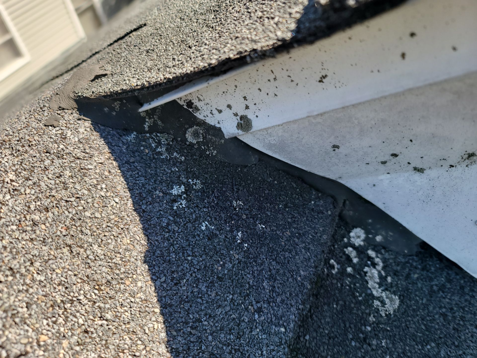 Angela S: Atlas Pinnacle, Color, Black Shadow, Drip Edge, Color, White by Eagle Eye Roofing